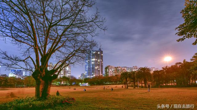 拥抱大自然，亲子活动好去处！深圳最新最全免费公园大集合！