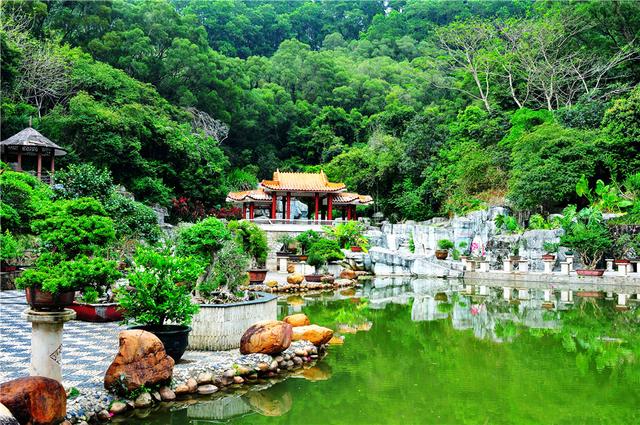 仙湖植物园，一个性价比很高的收费景区