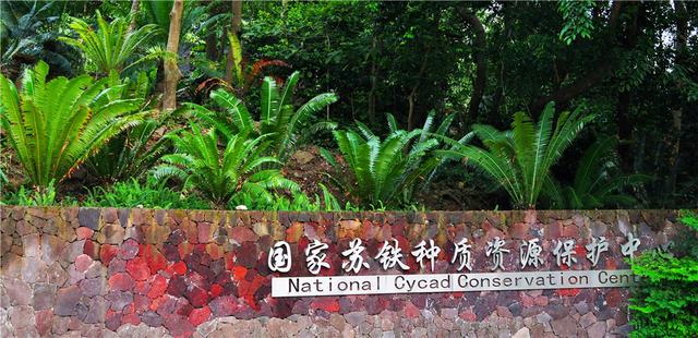 仙湖植物园，一个性价比很高的收费景区