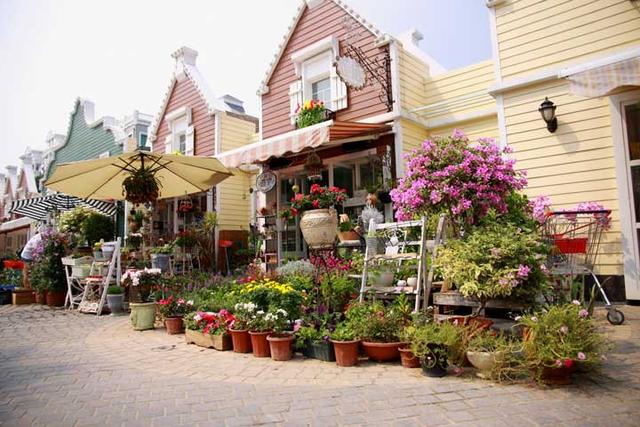 慢下来，我们一起去探索仙境一般的荷兰花卉小镇