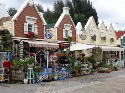 慢下来，我们一起去探索仙境一般的荷兰花卉小镇