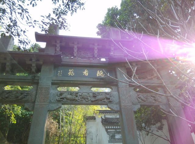 深圳园博园中的局部园林景象和仿古建筑