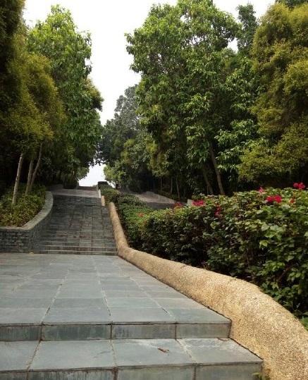 深圳园博园—人与自然的和谐