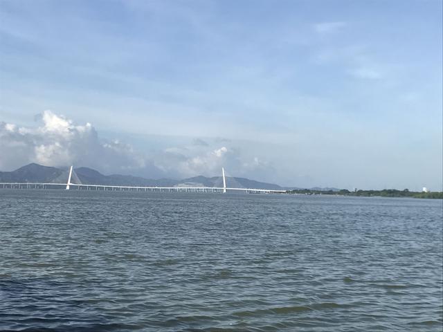 今日美丽的深圳湾公园