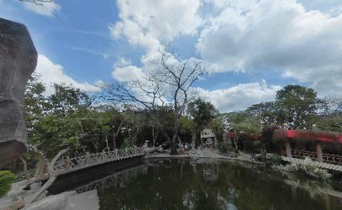 去过深圳东湖公园，你会发现之前的公园门票钱都白花了