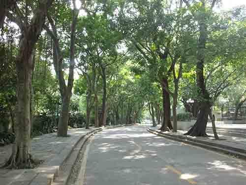 深圳东湖公园，这是一个特别的公园