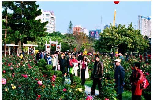 深圳人民公园介绍 领略月季花之园
