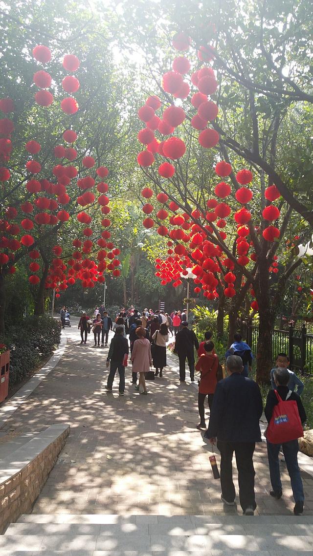 春节好去处年味十足的深圳人民公园