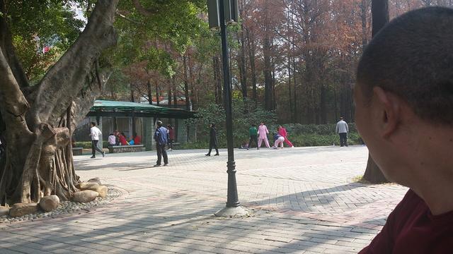 春节好去处年味十足的深圳人民公园