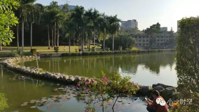 中国旅游日：深圳大学，原来如此美丽...