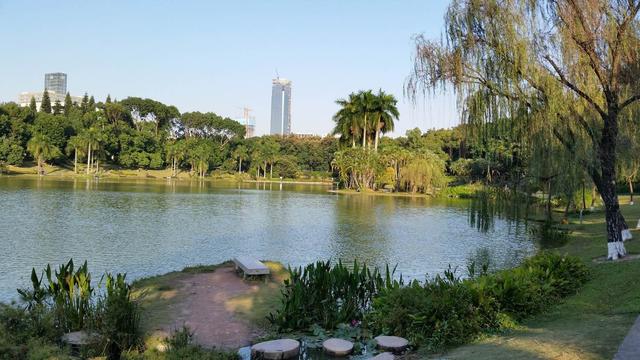 中国旅游日：深圳大学，原来如此美丽...