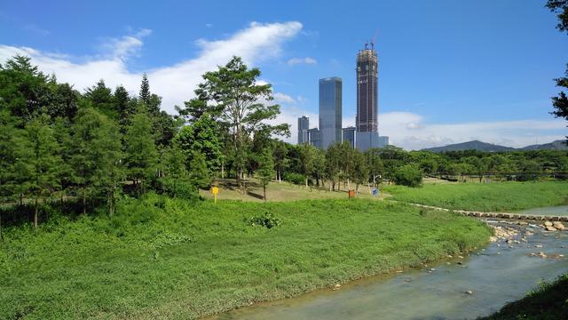 摩天楼下的深圳中心公园，不一样的美