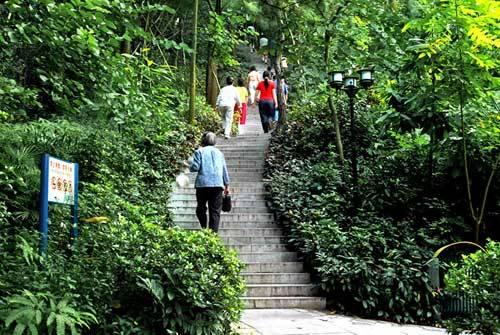 深圳皇岗公园介绍 市民的“五星级公园”