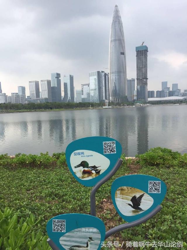在深圳，这个公园让我发现了数学之美