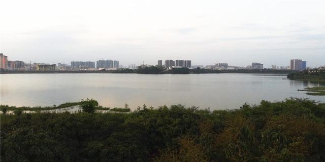 实拍深圳福永立新湖：你不知道的湿地公园，如在画中行