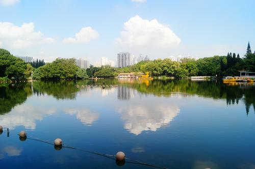 实拍深圳荔枝公园的美丽风光，清澈如镜的湖泊和传统的亭榭建筑